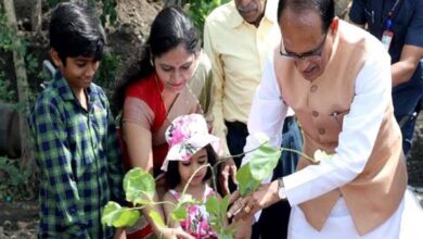 Plantation Tree : मुख्यमंत्री शिवराज सिंह चौहान ने बरगद, अमरूद और करंज के पौधे लगाए